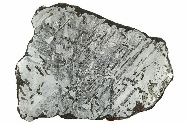 Etched Canyon Diablo Meteorite Slice ( g) - Arizona #329405